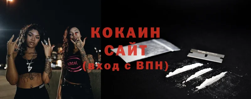 КОКАИН Fish Scale  Инта 